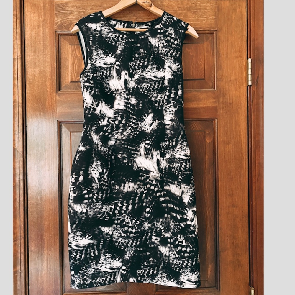 Lark & Ro Women's Dress